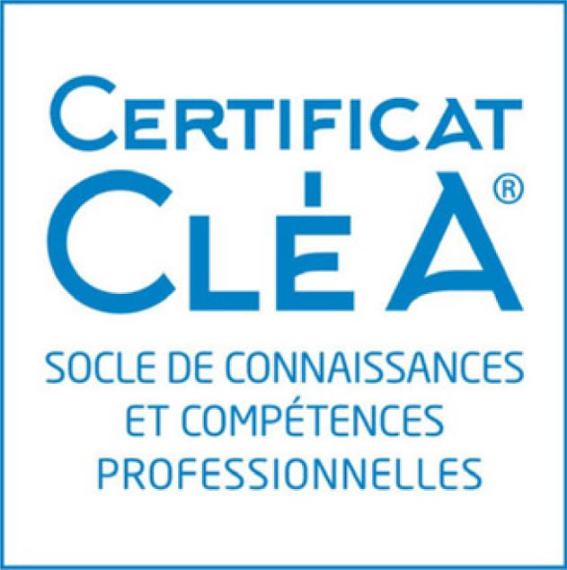 clea-socle